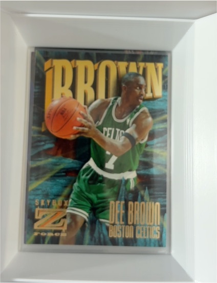 1996-97 SkyBox Z-Force #102 Dee Brown — front