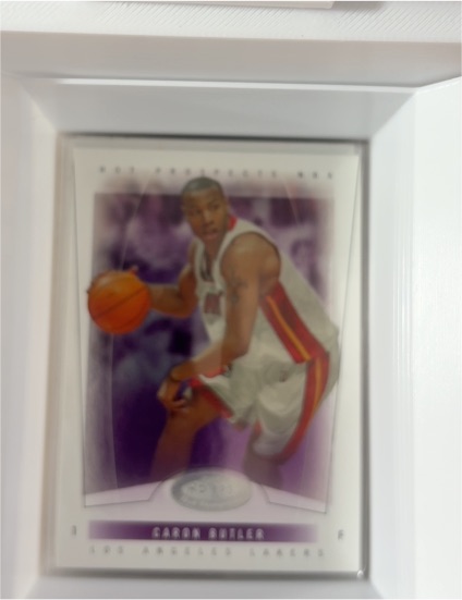 2004 Fleer Showcase #33 Caron Butler — front
