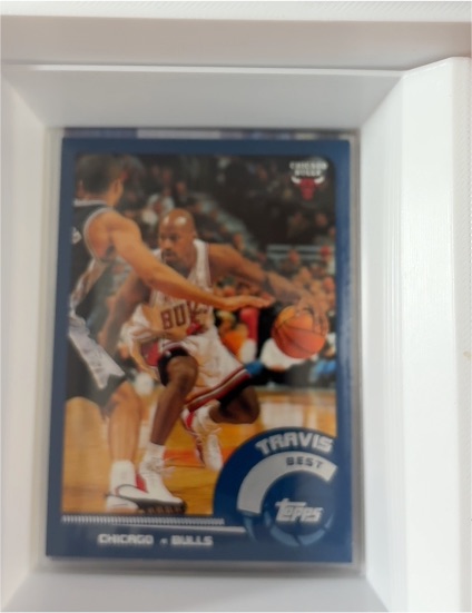 2002-03 Topps #108 Travis Best — front