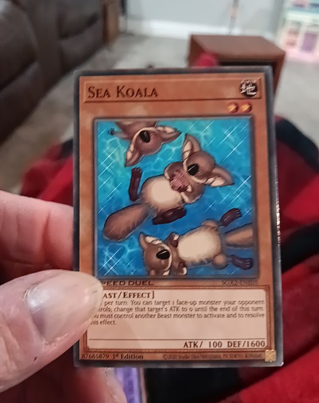 2020 Yu-Gi-Oh! Speed Duel GX: Midterm Paradox #SGX2-ENE05 Sea Koala — front