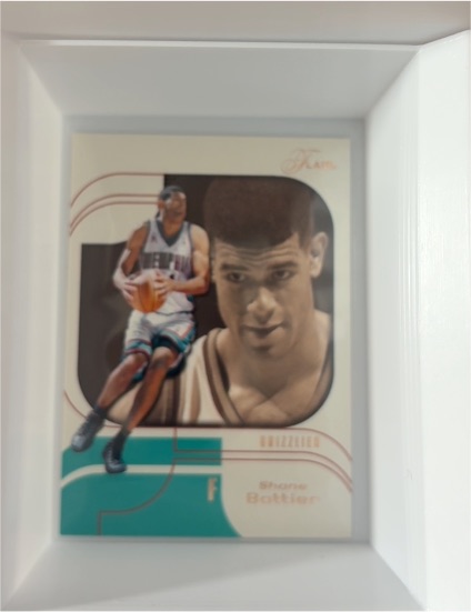 2002-03 Fleer Flair #19 Shane Battier — front