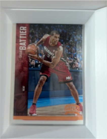 2012-13 Panini Threads #80 Shane Battier — front