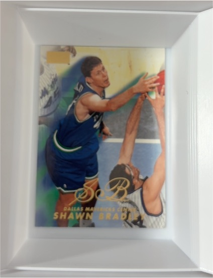1998-99 SkyBox Premium #60 Shawn Bradley — front