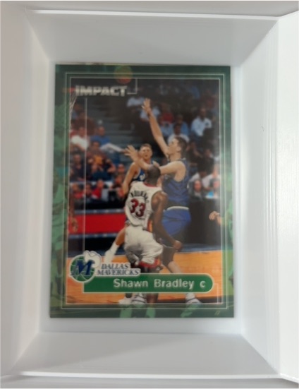 1999-00 SkyBox Impact #63 Shawn Bradley — front