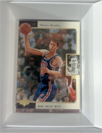 1995-96 Upper Deck SP #83 Shawn Bradley — front