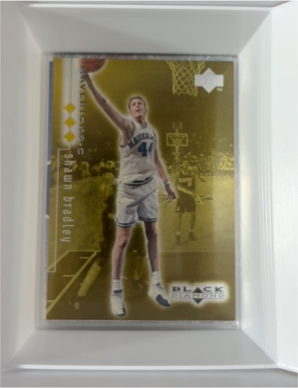 1998-99 Upper Deck Black Diamond #28 Shawn Bradley — front