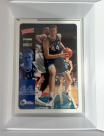 2000-01 Upper Deck Victory #47 Shawn Bradley — front
