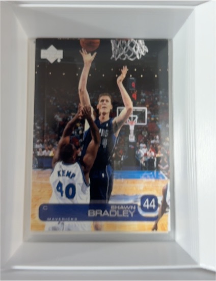 2001-02 Upper Deck #44 Shawn Bradley — front