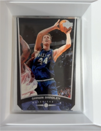 1998-99 Upper Deck #33 Shawn Bradley — front