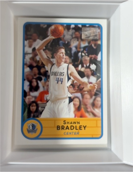 2003-04 Bazooka #76 Shawn Bradley — front
