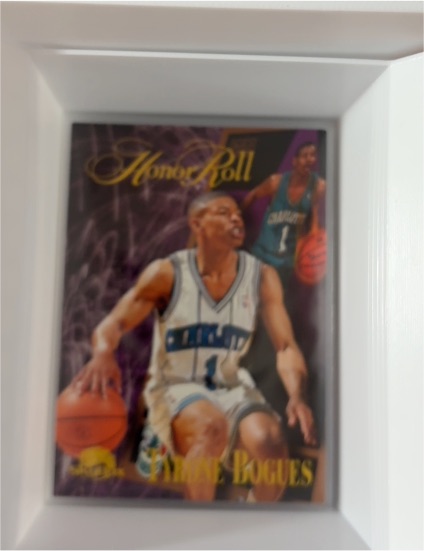 1995-96 SkyBox Honor Roll #249 Tyrone Bogues — front