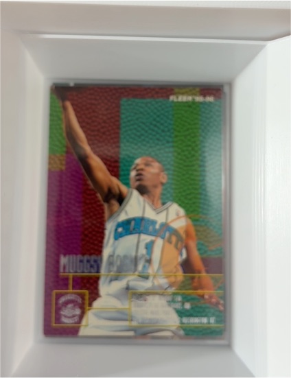 1995-96 Fleer #14 Muggsy Bogues — front