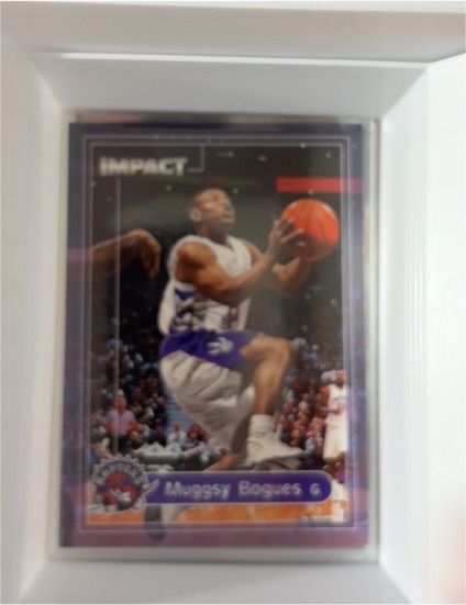 1999-00 SkyBox Impact #22 Muggsy Bogues — front