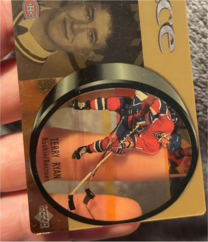 1998-99 Upper Deck McDonald's Ice #28 Terry Ryan — front