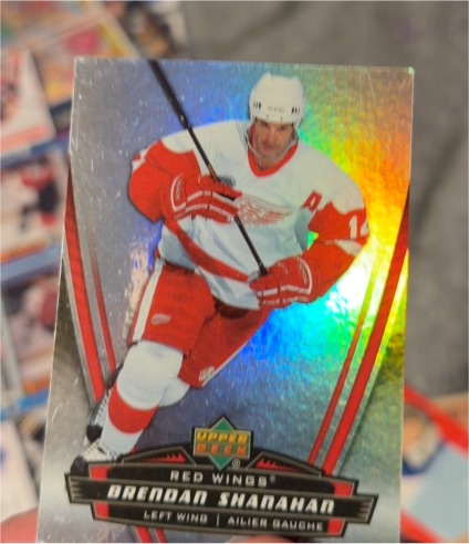 2006-07 Upper Deck McDonald's #16 Brendan Shanahan — front