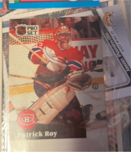 1991-92 Pro Set #125 Patrick Roy — front