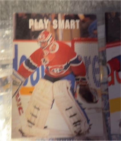 1991 Pro Set #613 Patrick Roy — front