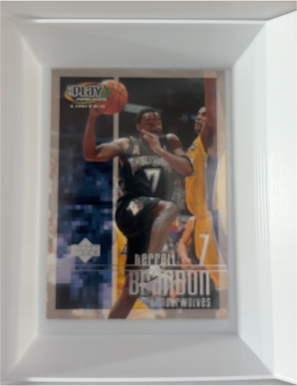 2000-01 Upper Deck SPx #49 Terrell Brandon — front
