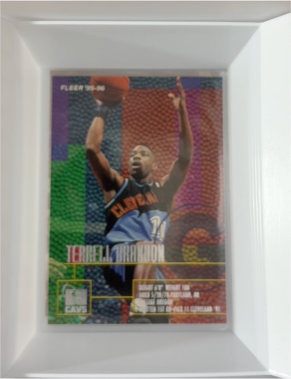 1995-96 Fleer #27 Terrell Brandon — front