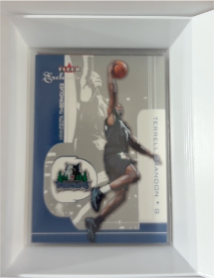 2001-02 Fleer Exclusive #44 Terrell Brandon — front
