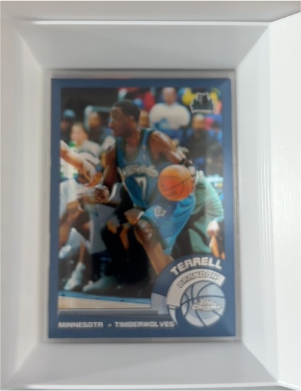 2002-03 Topps Chrome #34 Terrell Brandon — front