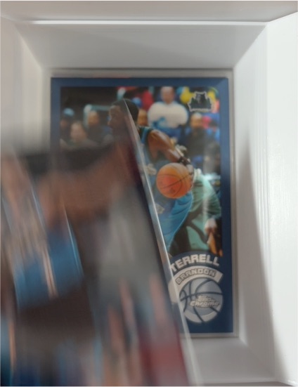 2002-03 Topps Chrome #34 Terrell Brandon — front