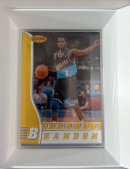 1996-97 Bowman's Best #11 Terrell Brandon — front