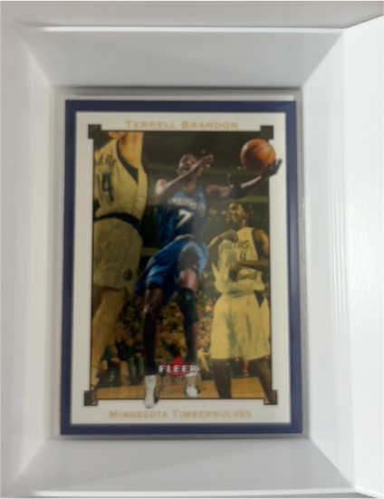 1996 Fleer #7 Terrell Brandon — front