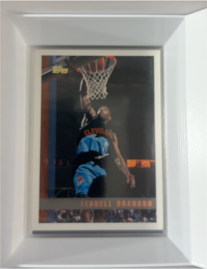 1996-97 Topps #148 Terrell Brandon — front