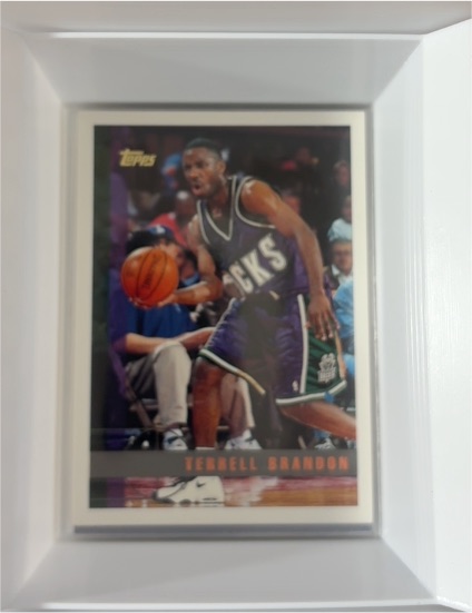 1997-98 Topps #113 Terrell Brandon — front