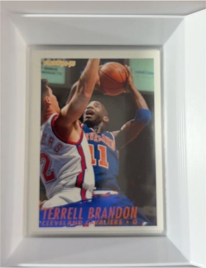 1994-95 Fleer #38 Terrell Brandon — front