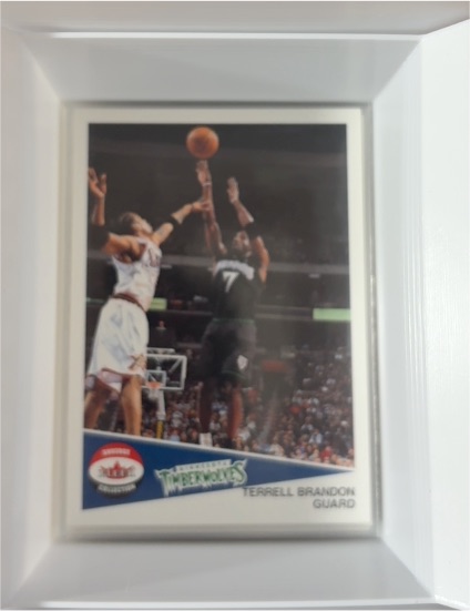 2001-02 Fleer Shoebox #129 Terrell Brandon — front