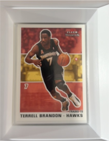 2003-04 Fleer Tradition #160 Terrell Brandon — front