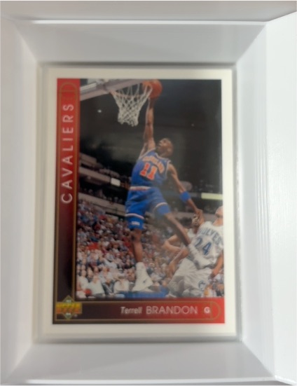 1993-94 Upper Deck #22 Terrell Brandon Cleveland Cavaliers — front