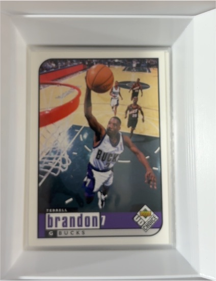 1998-99 Upper Deck UD Choice #80 Terrell Brandon — front