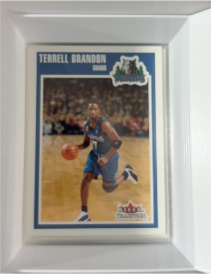 2002-03 Fleer Tradition #82 Terrell Brandon — front