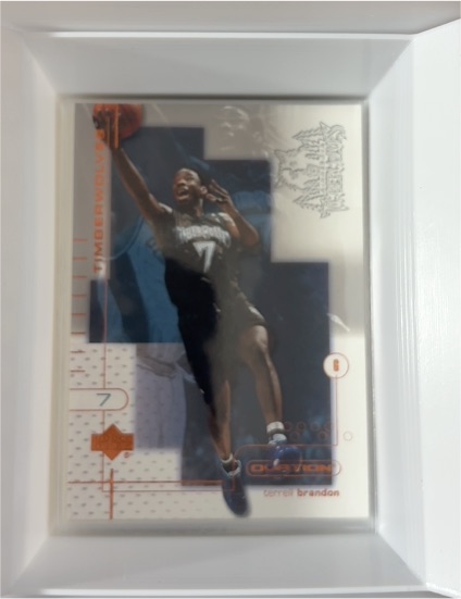 2001 Upper Deck Ovation #8 Brandon Roy — front