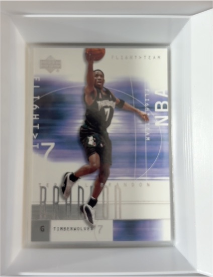2001-02 Upper Deck Flight Team #88 Terrell Brandon — front