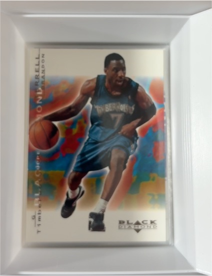 2000-01 Upper Deck Black Diamond #49 Terrell Brandon — front