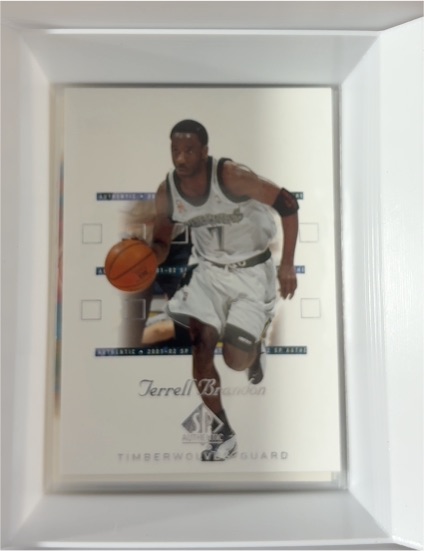2001-02 SP Authentic #52 Terrell Brandon — front