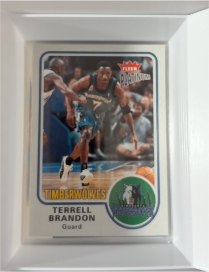 2002-03 Fleer Platinum #78 Terrell Brandon — front