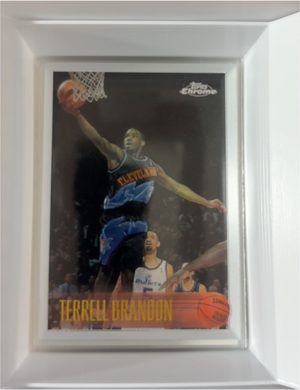 1997-98 Topps Chrome #16 Terrell Brandon — front
