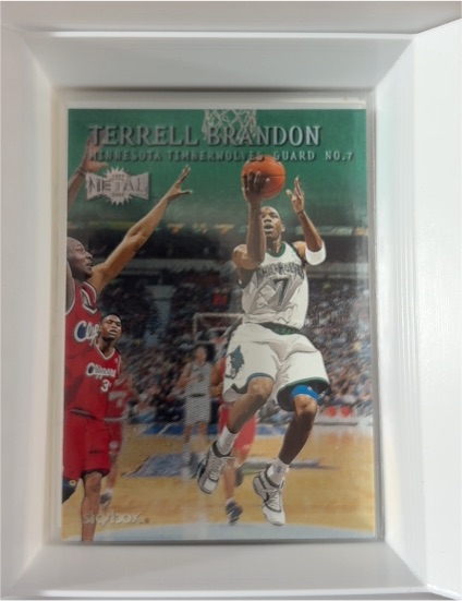 1999-00 Skybox Metal #149 Terrell Brandon — front