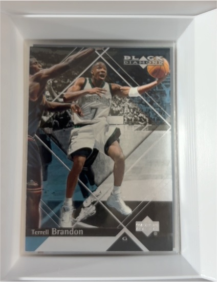 1999-00 Upper Deck Black Diamond #49 Terrell Brandon — front