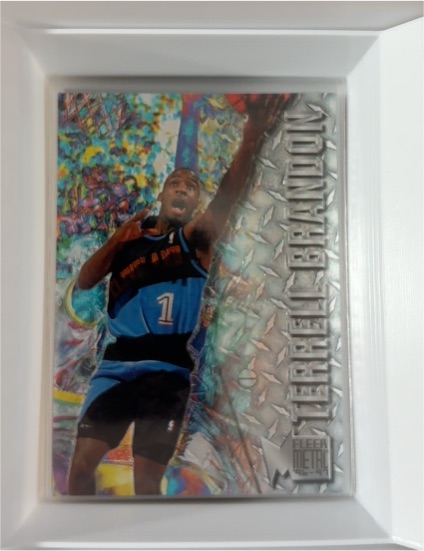 1996-97 Fleer Metal #16 Terrell Brandon — front