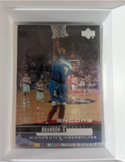 1999-00 Upper Deck Encore #47 Terrell Brandon — front