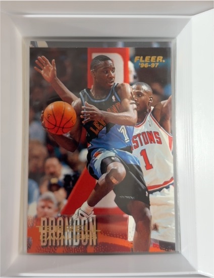 1996-97 Fleer #17 Terrell Brandon — front
