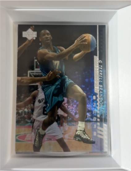 2000-01 Upper Deck #100 Terrell Brandon — front