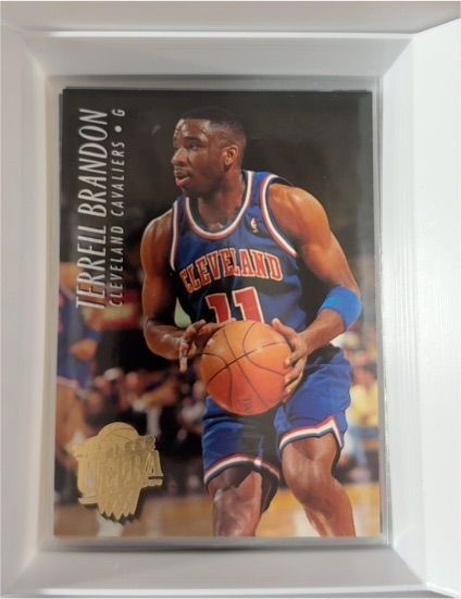1994-95 Fleer Ultra #32 Terrell Brandon — front