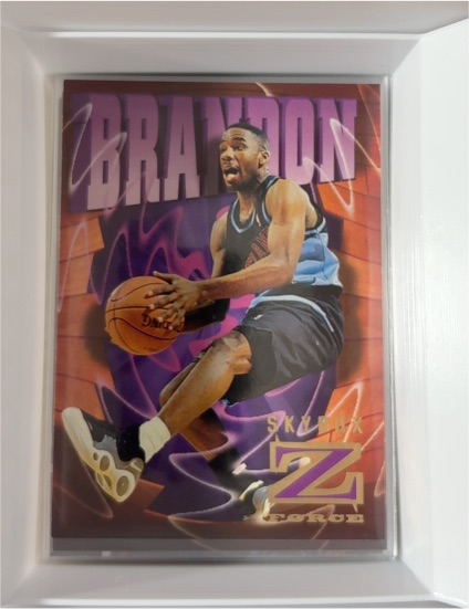 1996-97 SkyBox Z-Force #15 Terrell Brandon — front